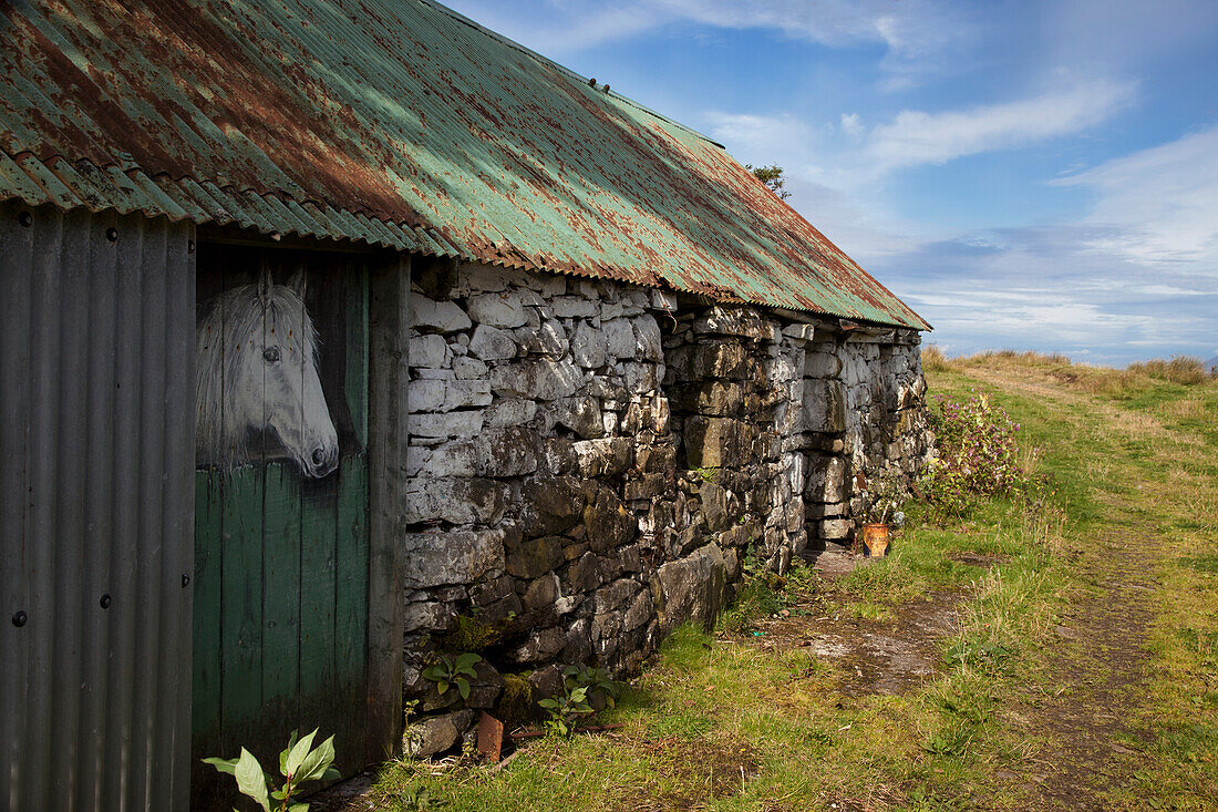 A Horse's Head Peeks Out A Stable Door; Argyll Scotland