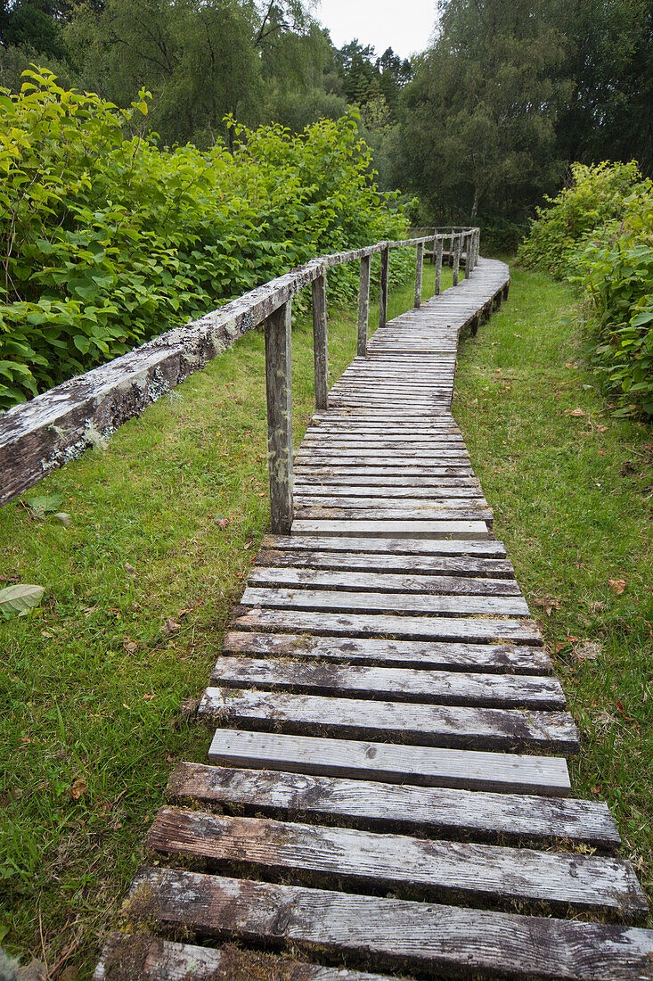 A Weathered Boardwalk And Railing; Argyll Scotland