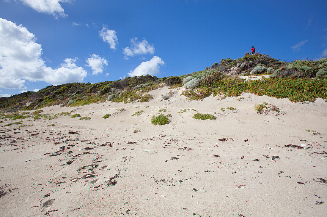 Ein Mann steht auf der Spitze der Sanddünen am weißen Sandstrand; Cosy Corner Western Australia Australien