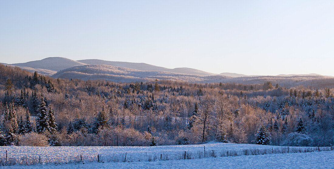 Snow Covered Field And Tree With Mountains In The Background; West Bolton Quebec Canada