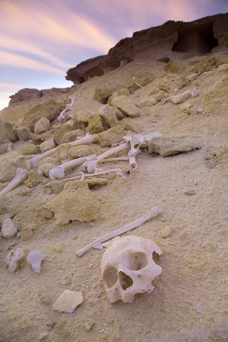 Menschliche Überreste und Knochen verstreut in der Nähe von Gräbern außerhalb der Stadt Siwa in der Oase Siwa; Siwa Ägypten