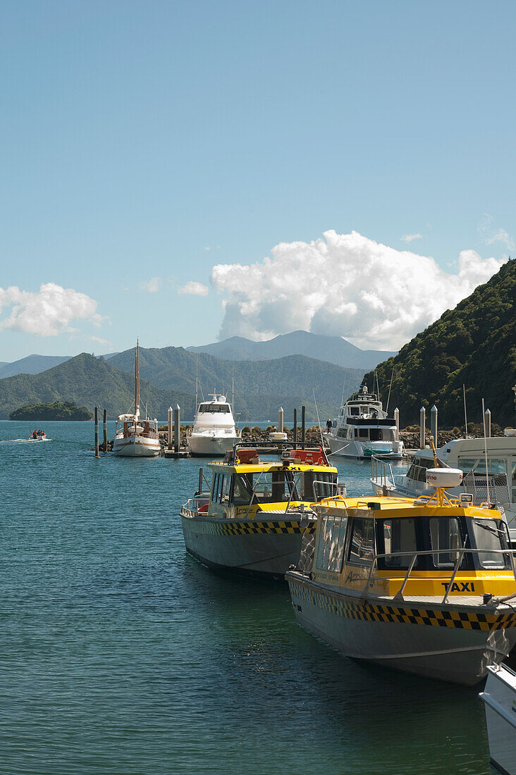 Boats In Port Picton; Picton New Zealand