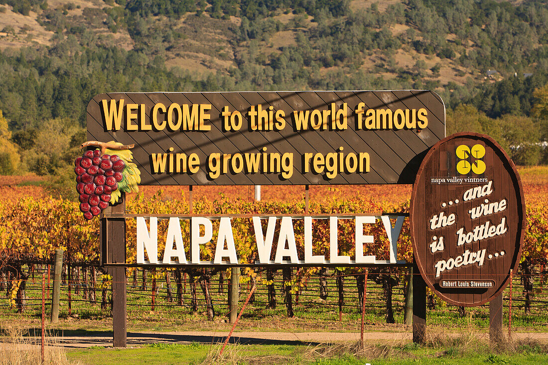 Napa Valley Vineyard In Autumn; California United States Of America