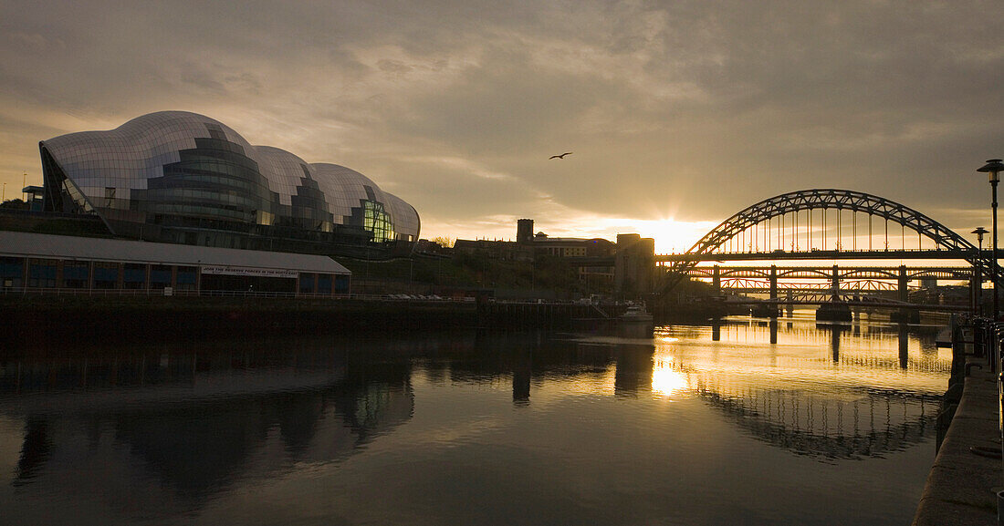 Tyne-Brücke über den Fluss Tyne bei Sonnenuntergang; Newcastle Upon Tyne Tyne And Wear England
