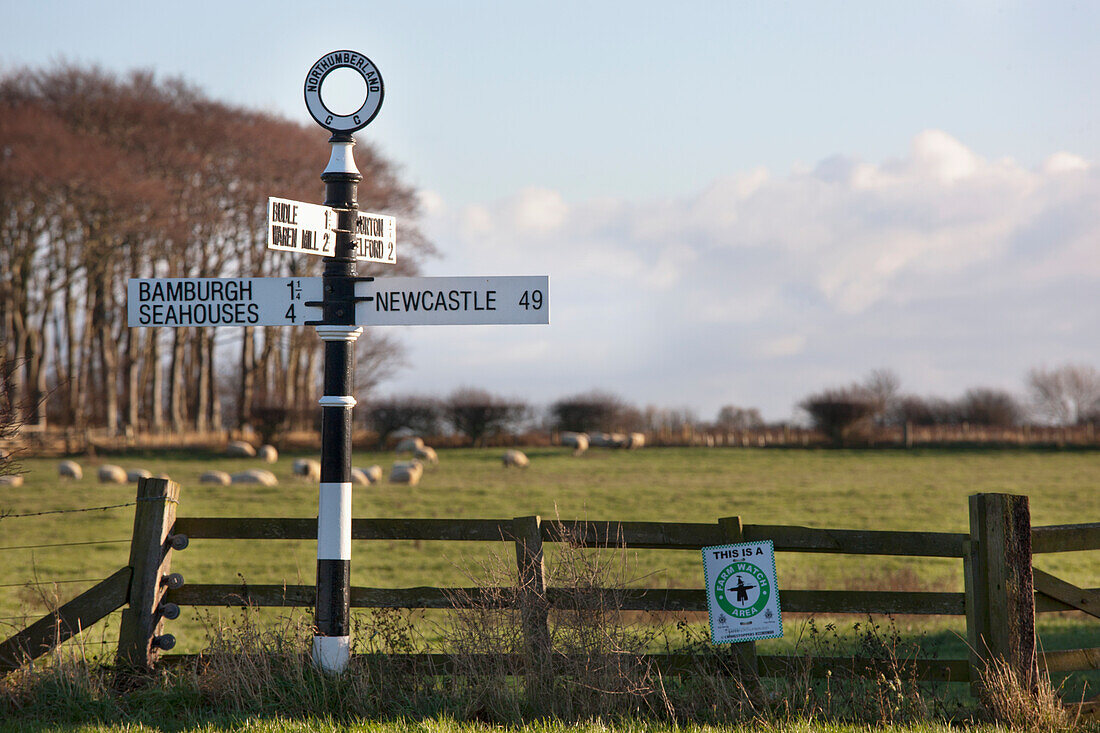 Destination And Distance Sign; Northumberland England