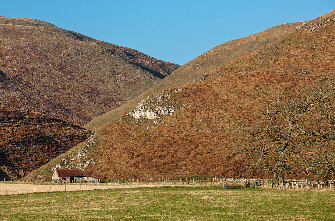 A Lone House At The Base Of Cheviot Hills; Northumberland England