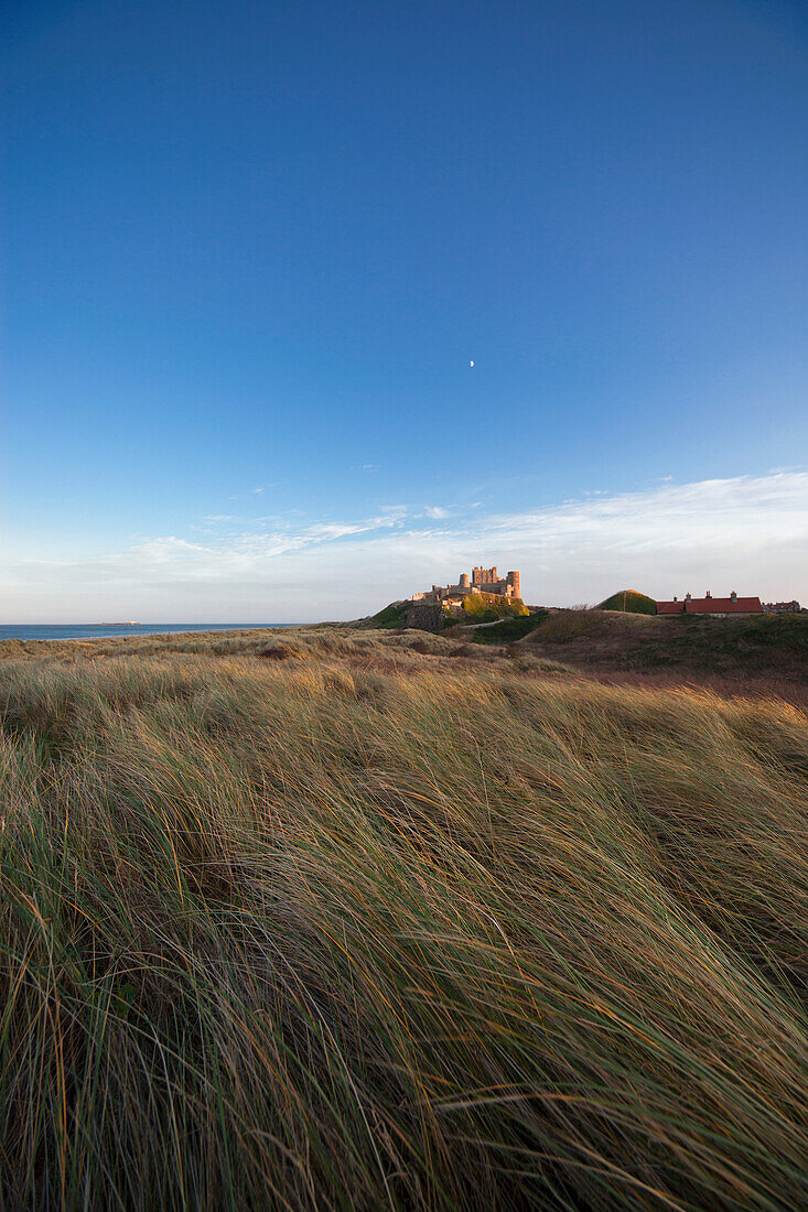 Tall Grass Blowing In The Wind With Bamburgh Castle In The Distance; Bamburgh Northumberland England