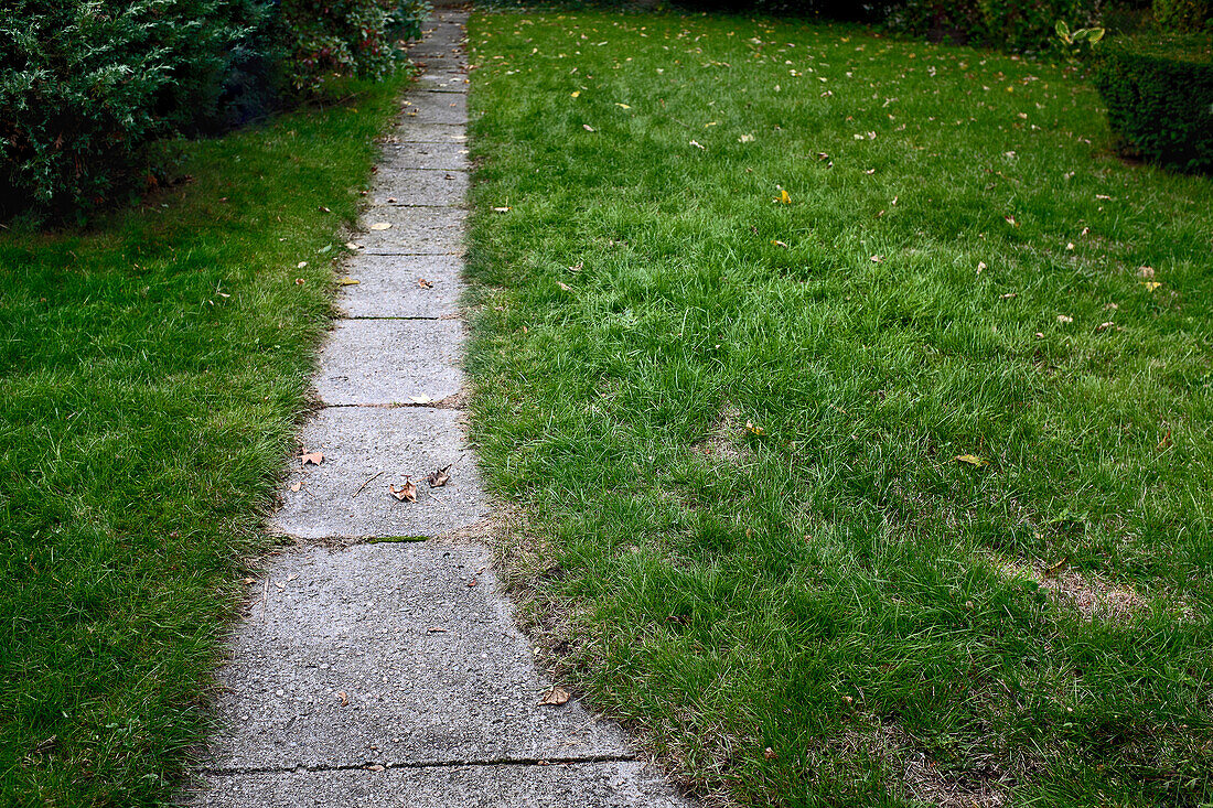 Concrete Path through Green Lawn