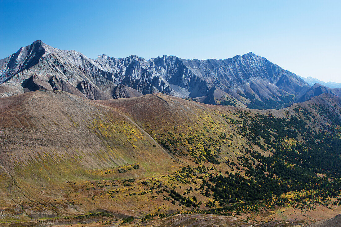 Mountain Valley With Fall Colours And Mountain Range In The Background With Blue Sky; Alberta Canada