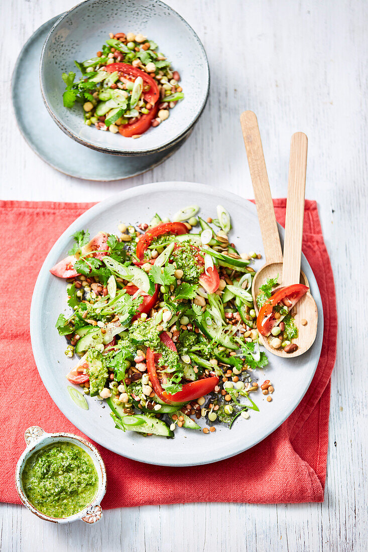 Vegan sprout and coriander salad