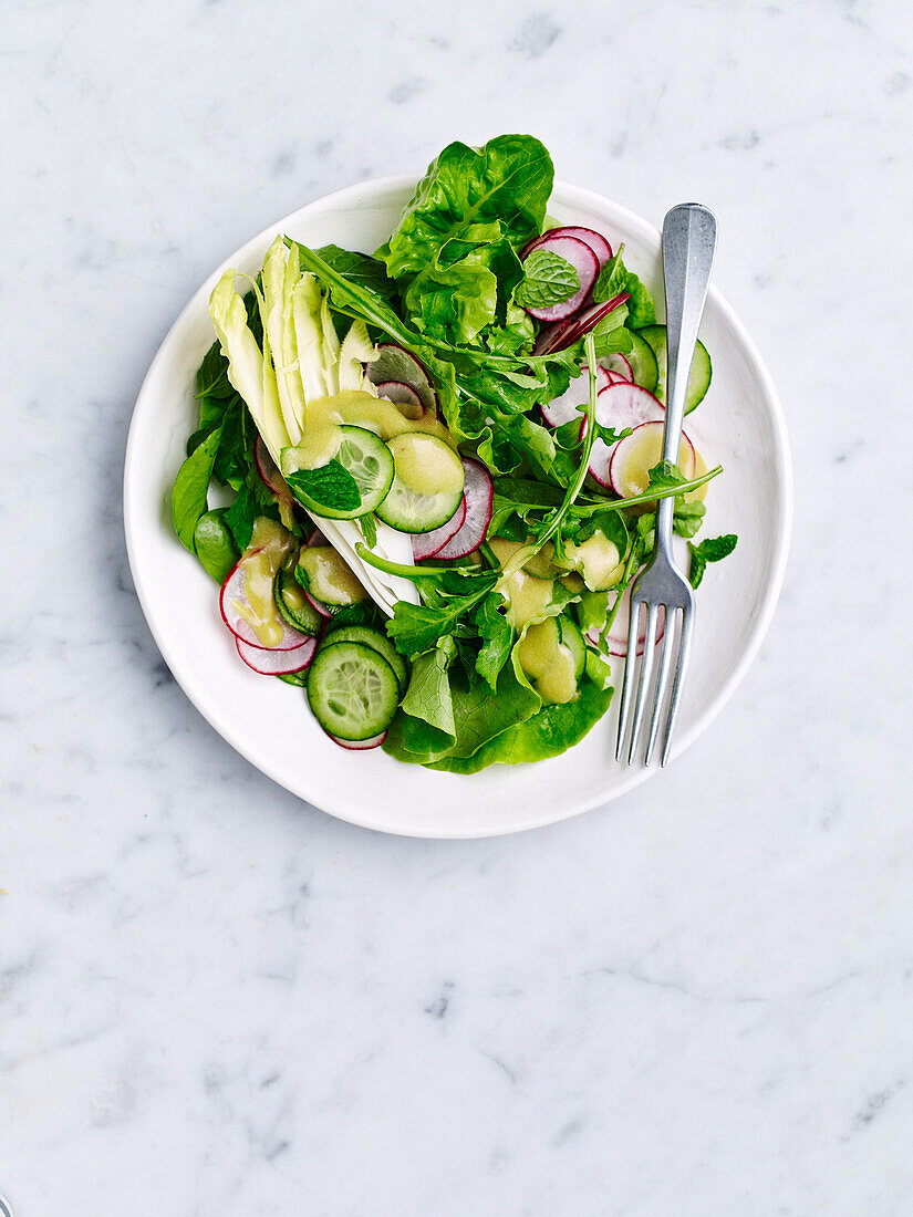 Grüner Salat mit Minze, Radieschen und Vinaigrette