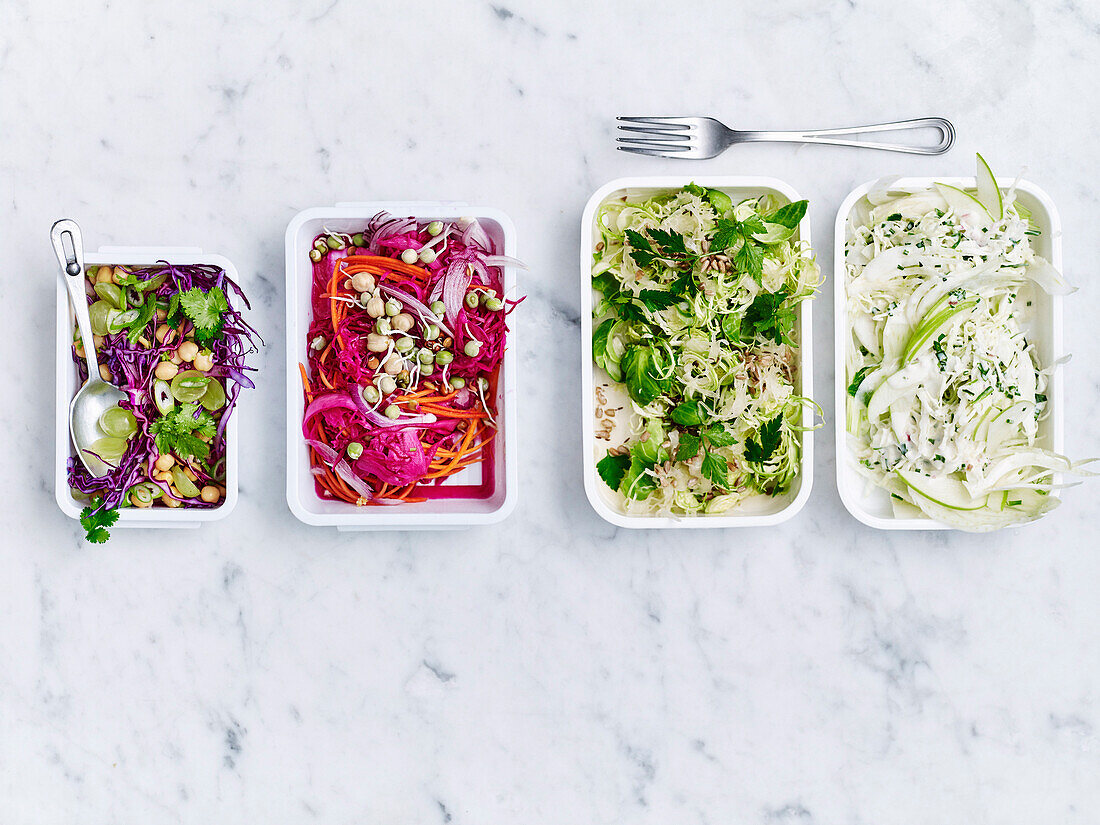 4x slaw - grape, pickled, sprout, apple and ranch