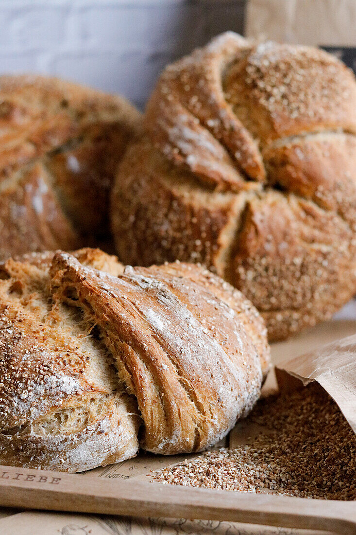 Pavé rustique (Franzöisches Brot)