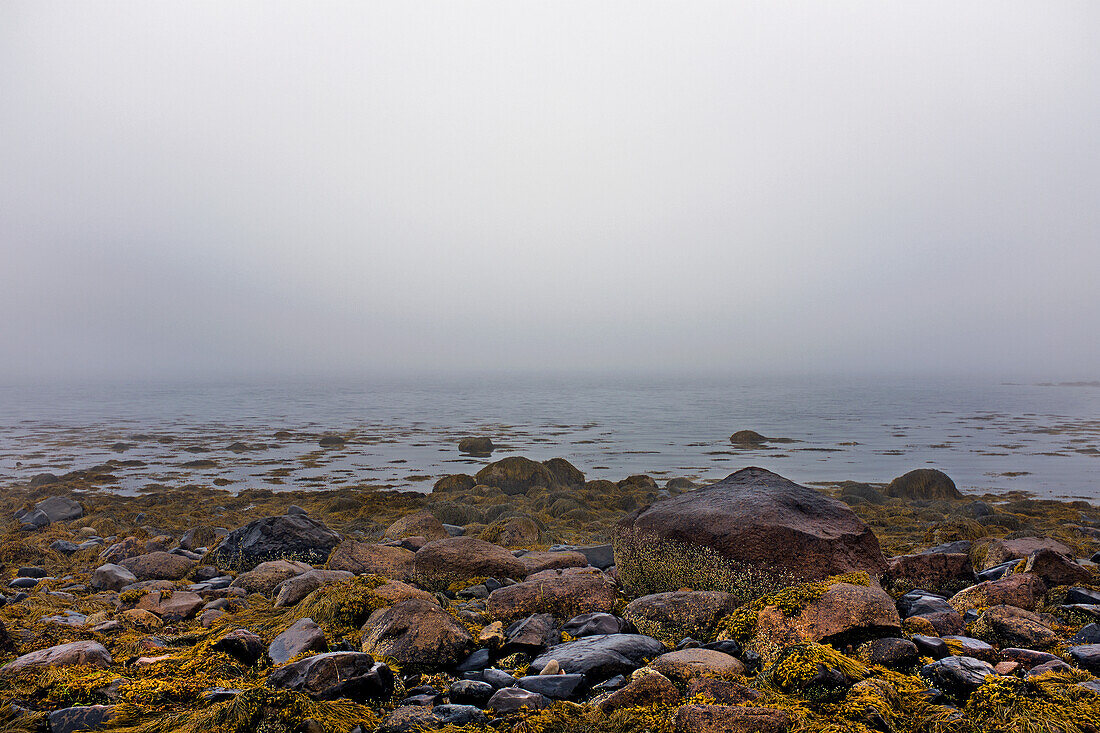 Heavy Fog during Low tide at Rocky Beach