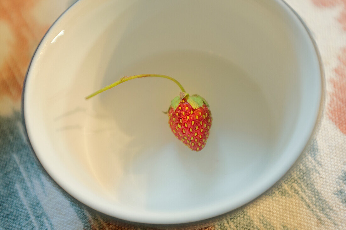 Erdbeere in weißer Schale