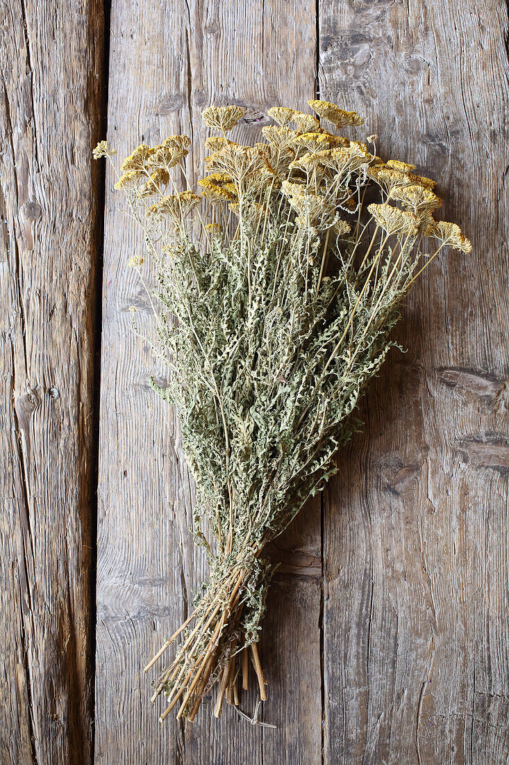 A bunch of dried yarrow