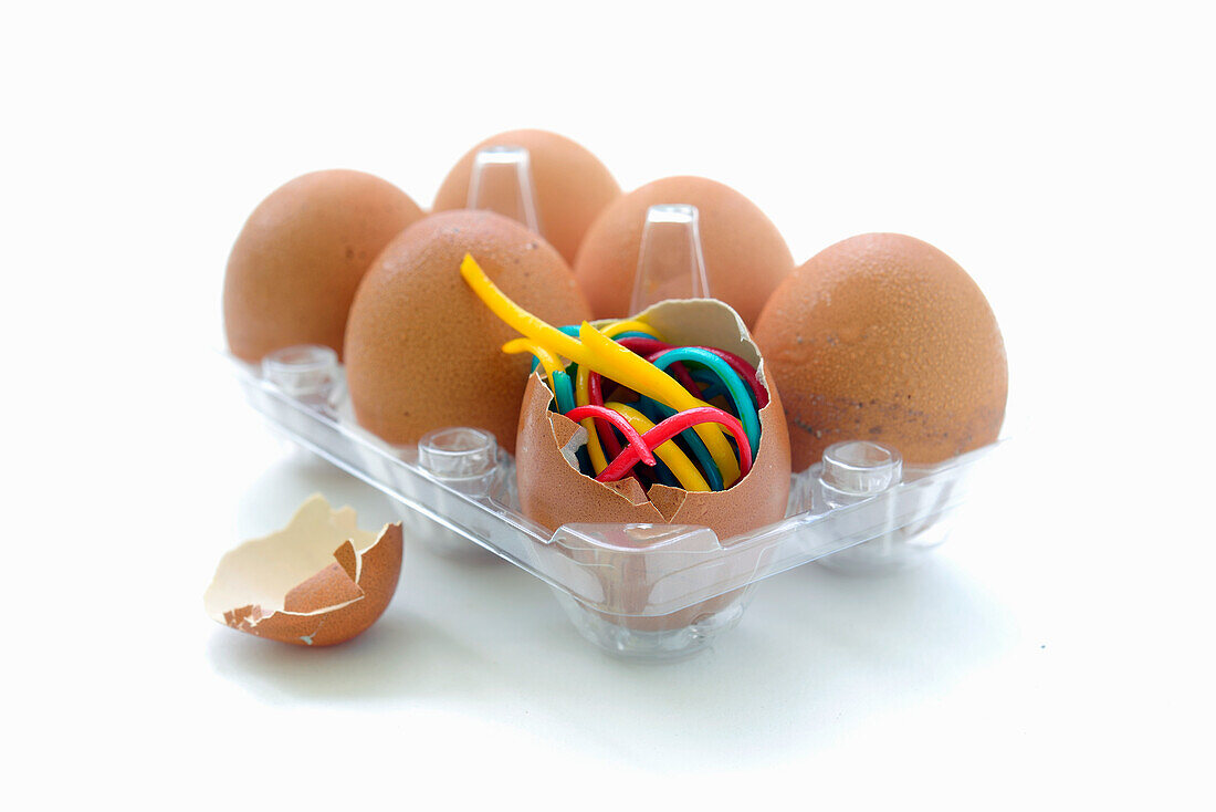 Colorful spaghetti in an egg shell