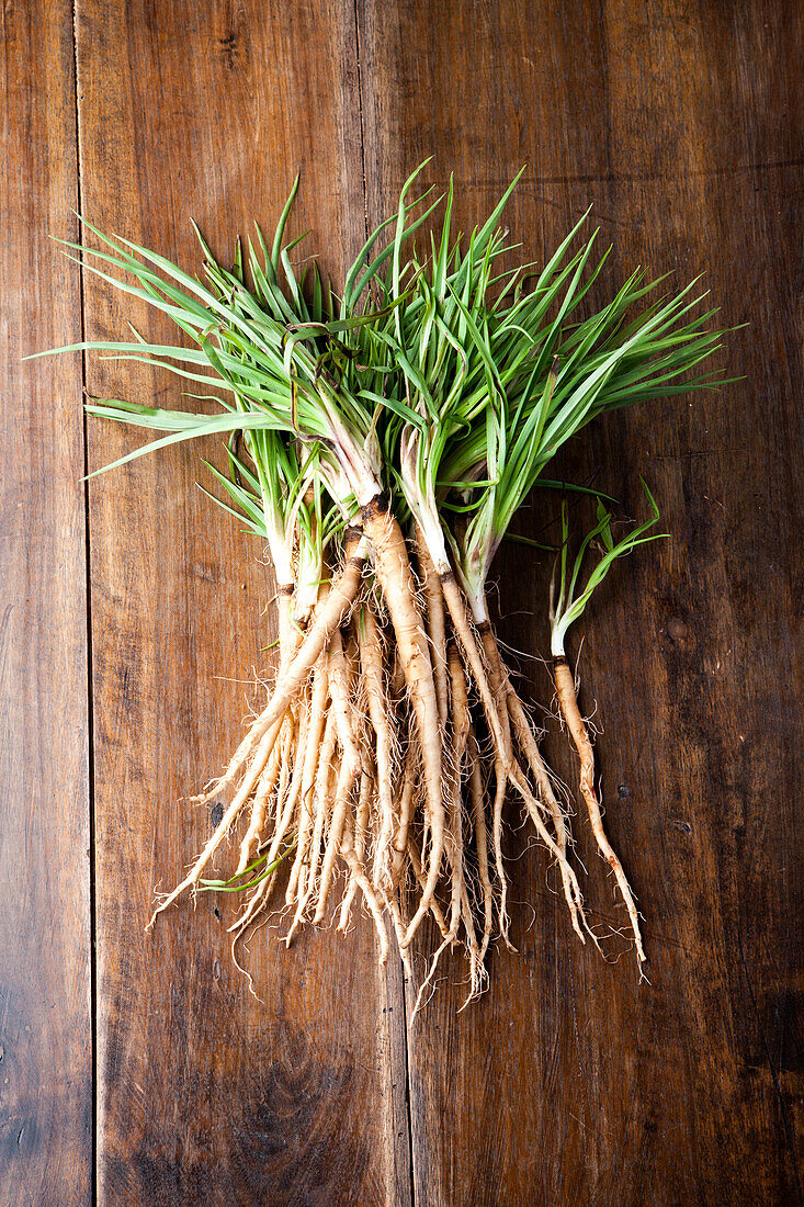 Oat roots on a wooden base