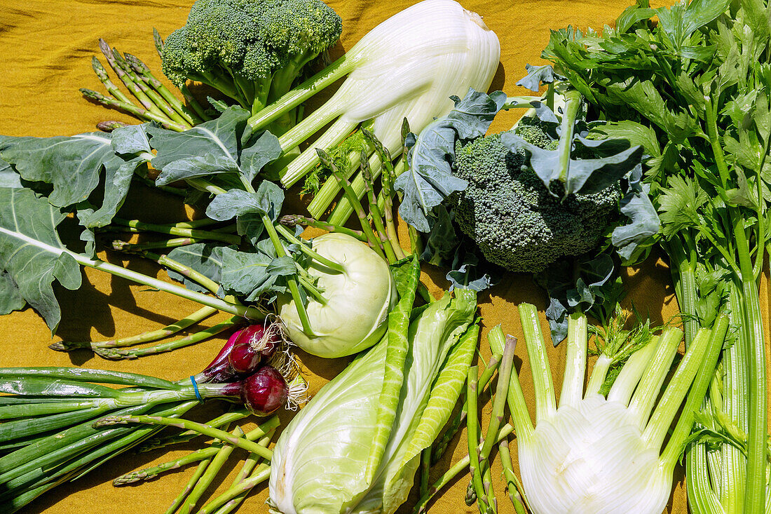 Kohlrabi, fennel, broccoli, pointed cabbage, celery, green asparagus, red spring onions