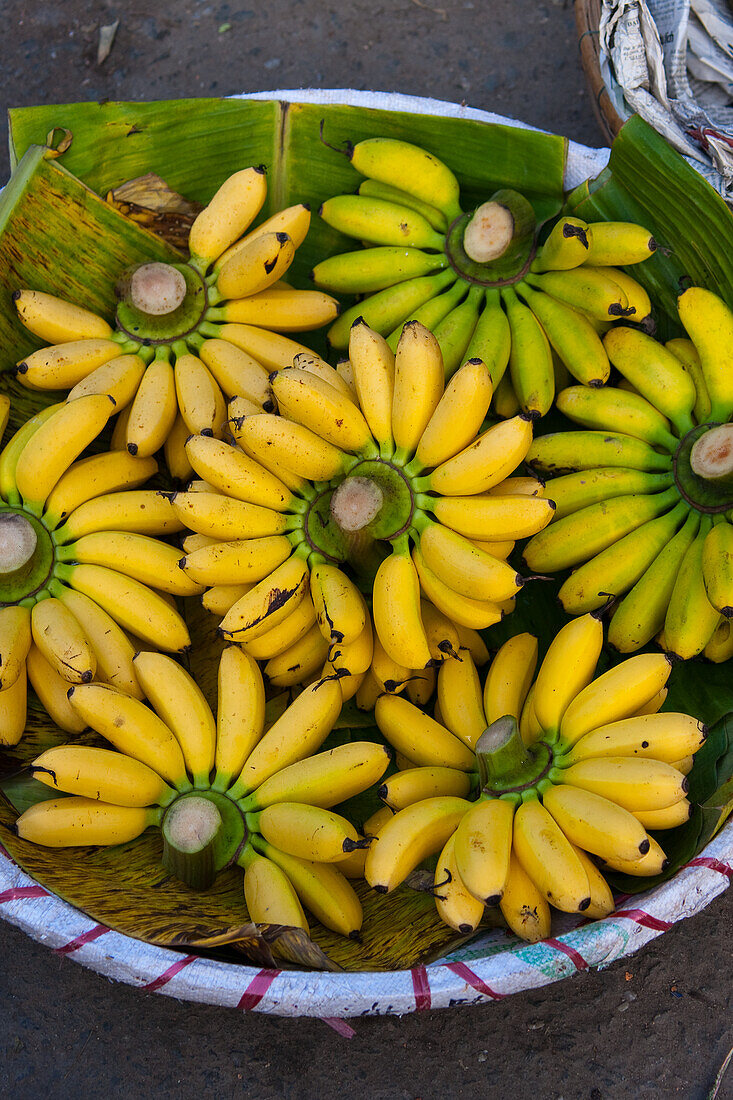 Gelbe Bananenstauden (Vietnam)