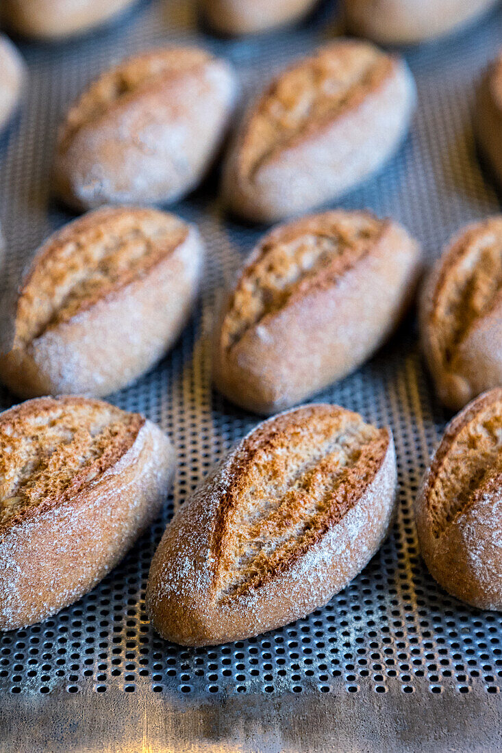 Wheat rolls