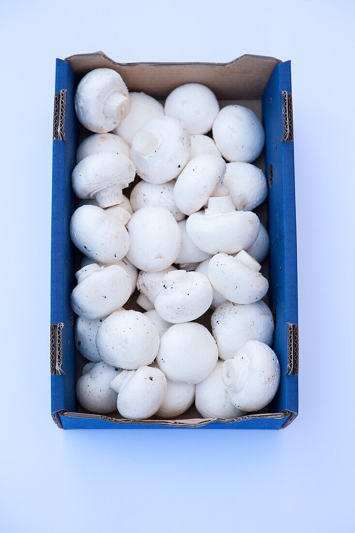 White mushrooms in cardboard box