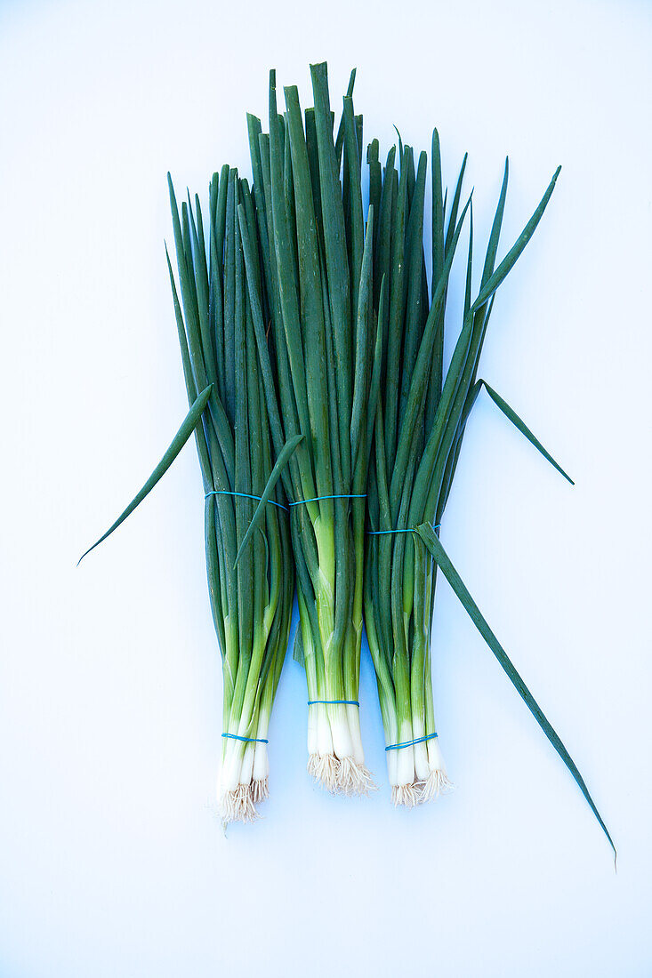 Spring onions tied together