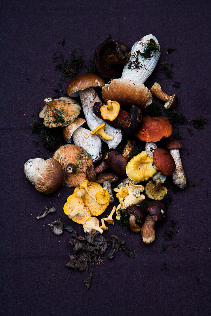 Mushrooms, chanterelles, porcini, dead trumpets, wild mushrooms