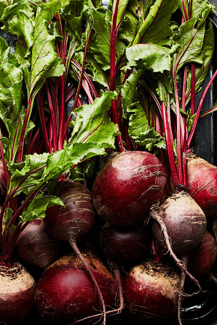 Beetroot