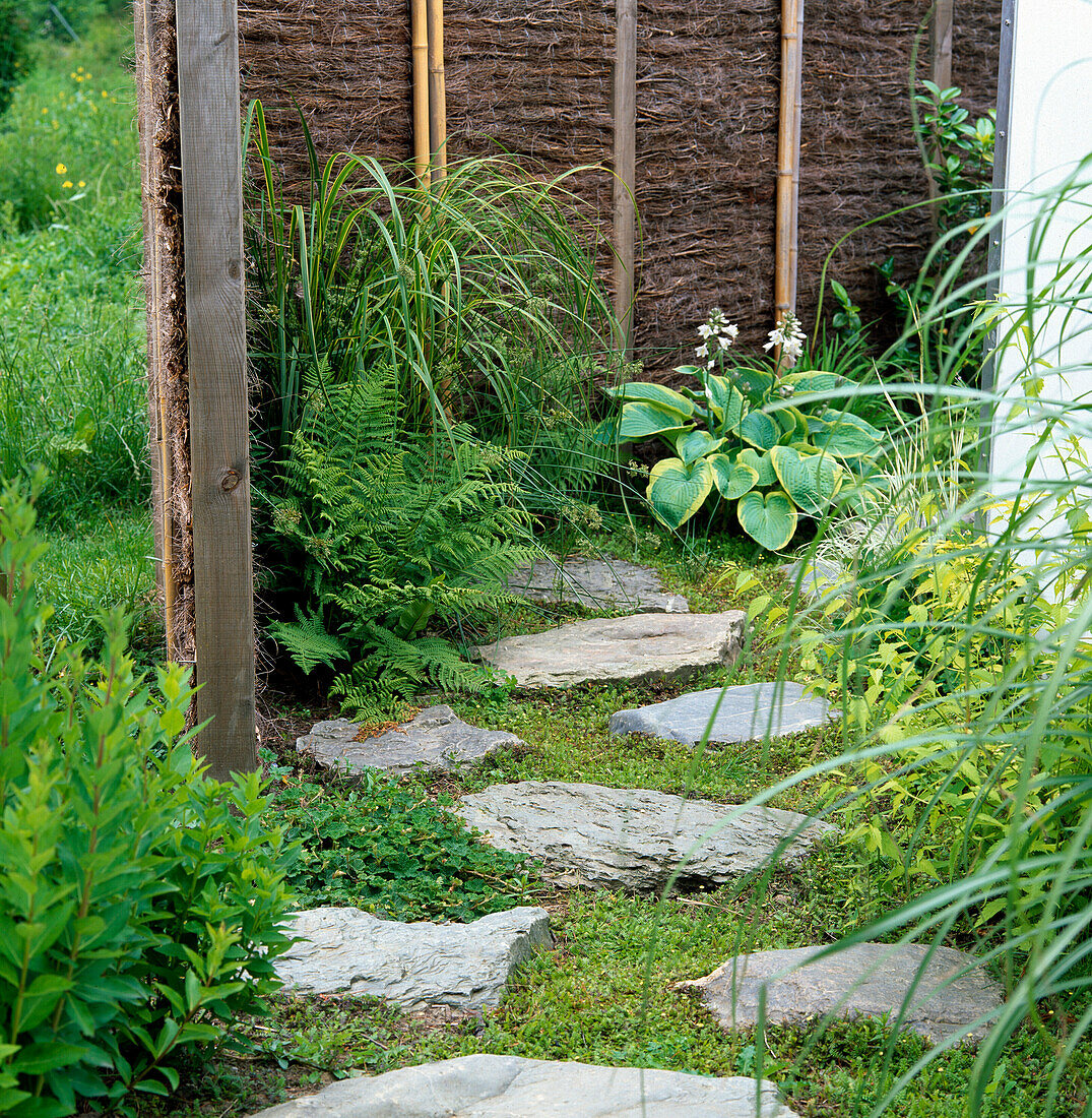 Japanese garden with stepping stones