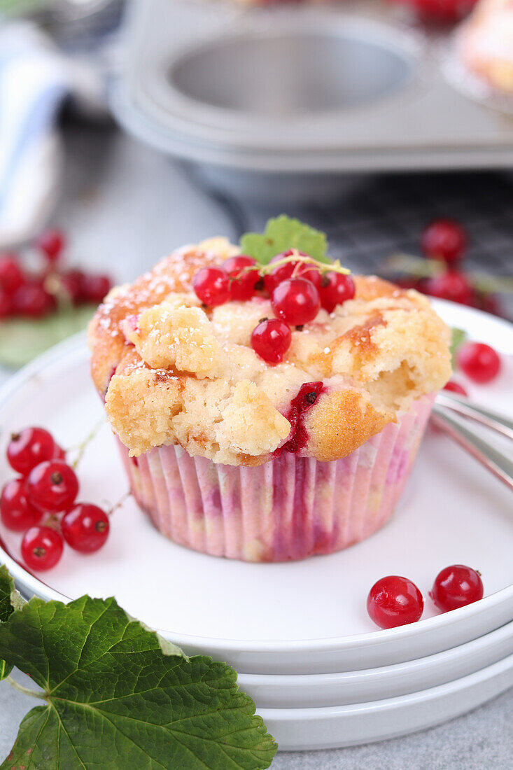 Johannisbeermuffins mit Streuseln