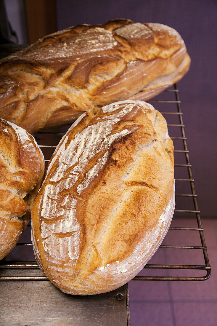 Freshly baked farmhouse bread