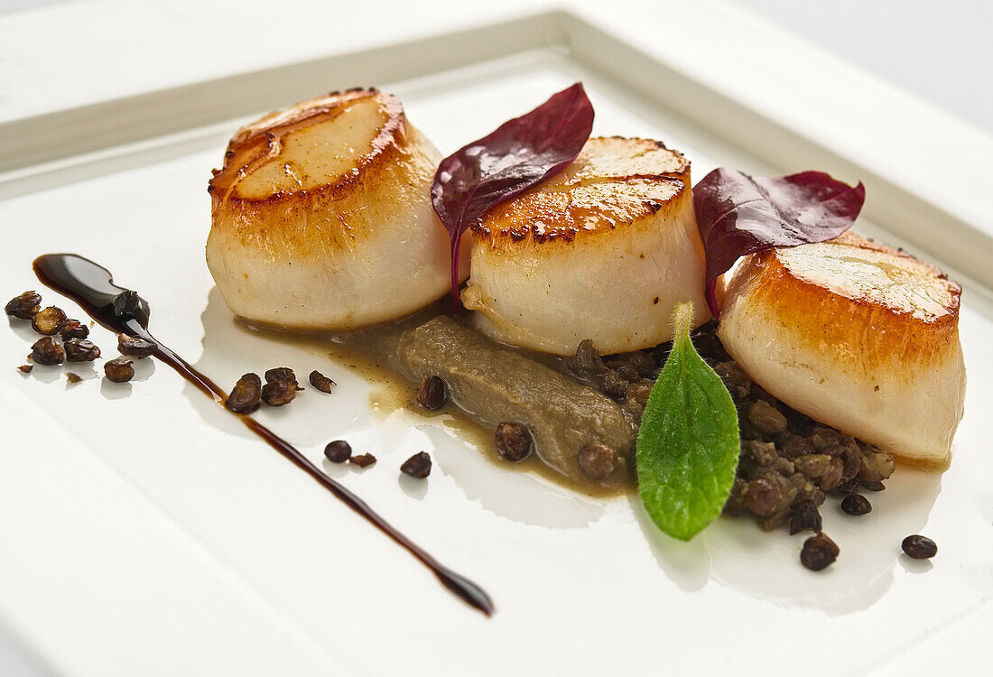 Scallops with foie gras and lentils