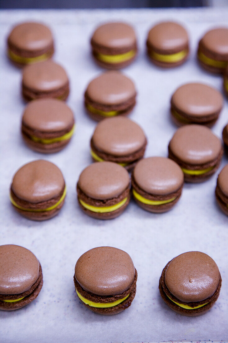 Schoko-Macarons mit Mangocreme