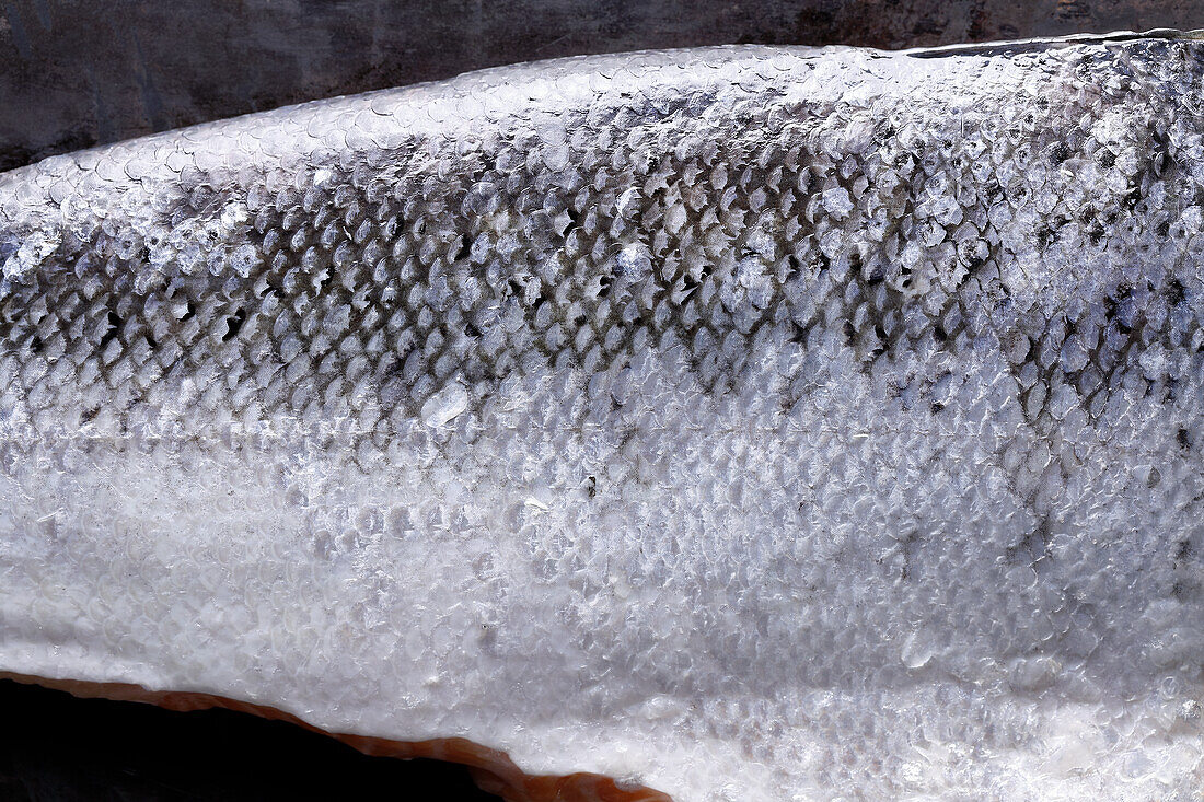 Fisch (Ausschnitt)