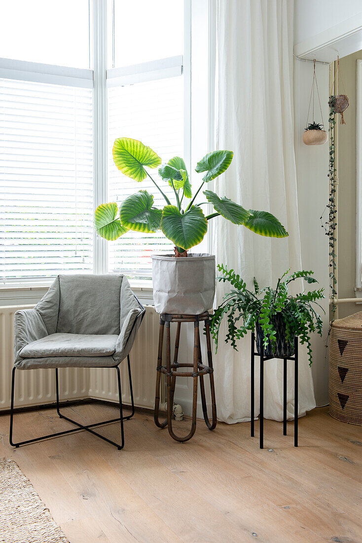 Heller Wohnraum mit Pflanzen und grauem Polsterstuhl