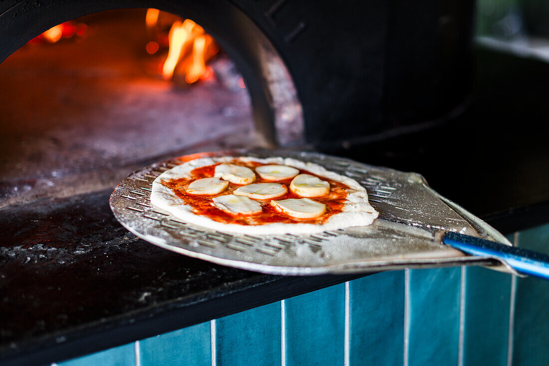 Pizza Margherita