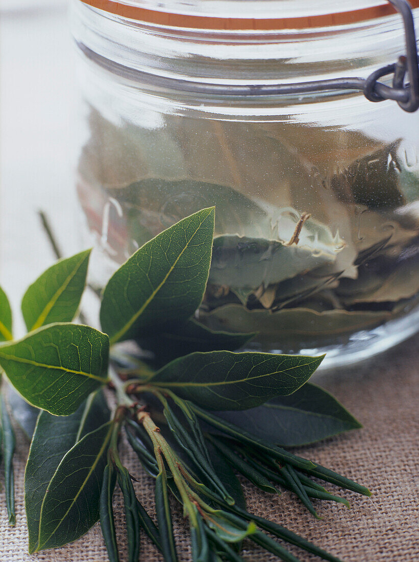 Fresh and dried bay leaves