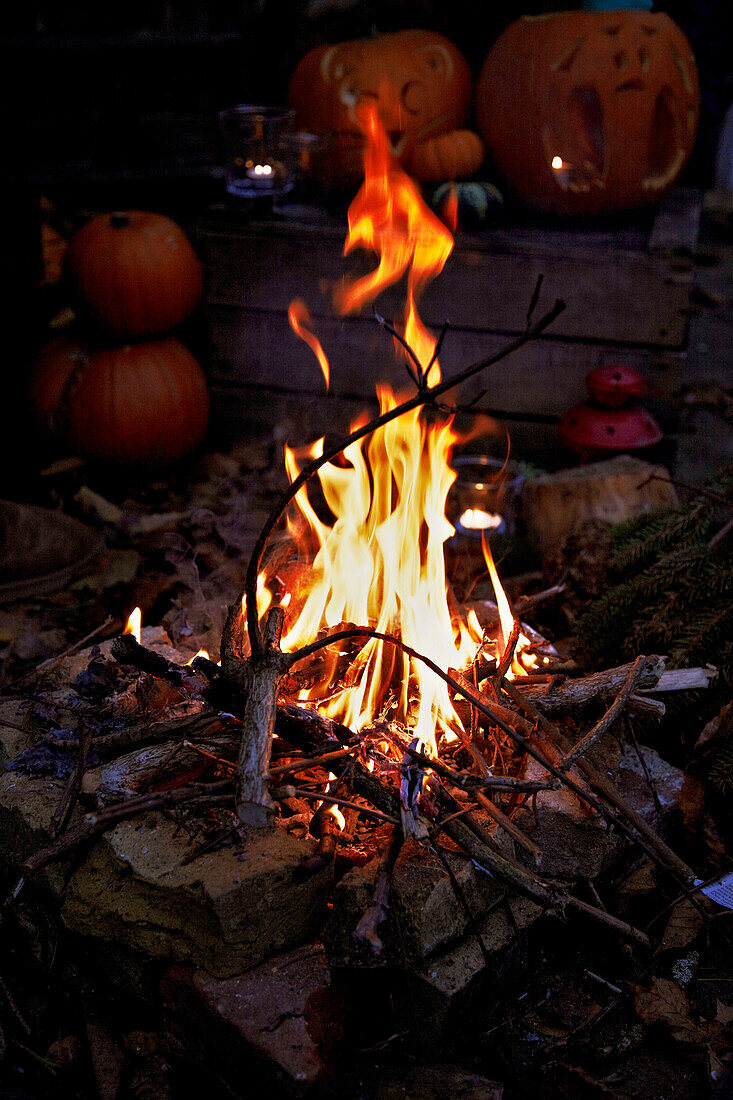 Outdoor bonfire with pumpkins in background