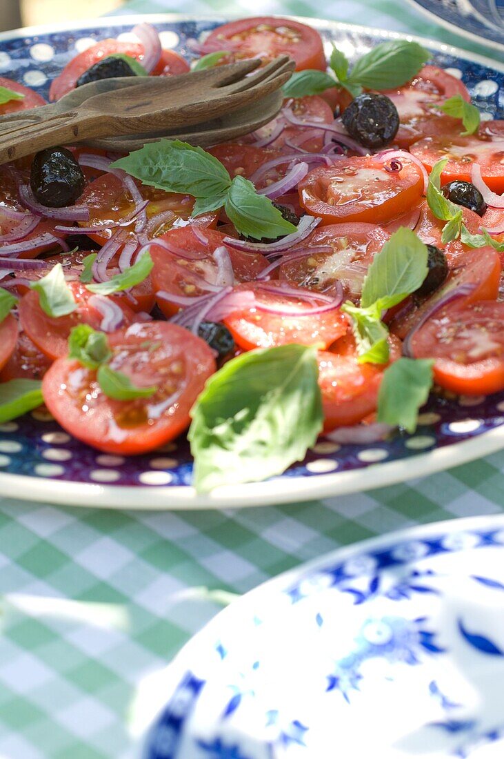 Tomato and basil salad close-up
