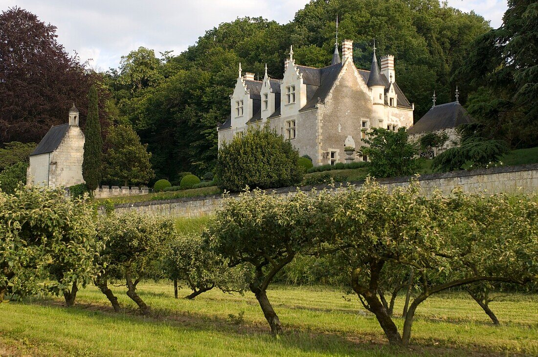 Herrenhaus mit Obstgarten im Vordergrund