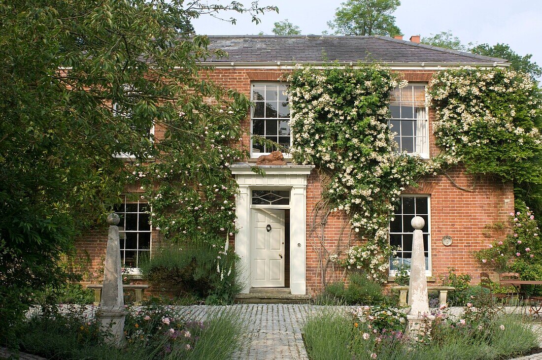 Country cottage with flourishing plant on wall