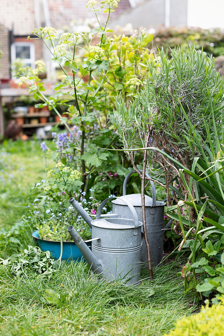 Antike Gießkannen im Garten in Brighton, East Sussex UK