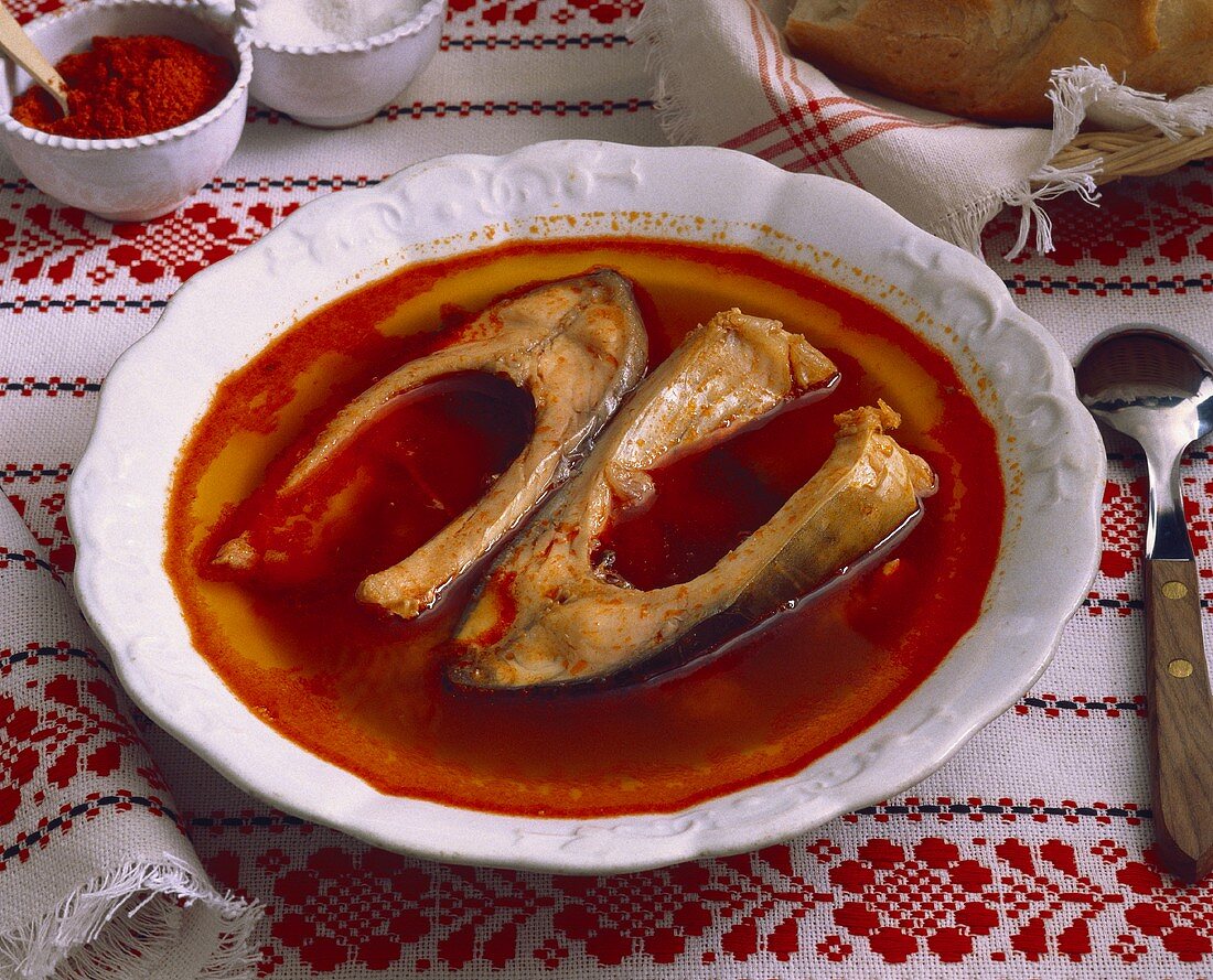 Scharfe ungarische Fischsuppe (Halaszle) – Bilder kaufen – 135503 StockFood