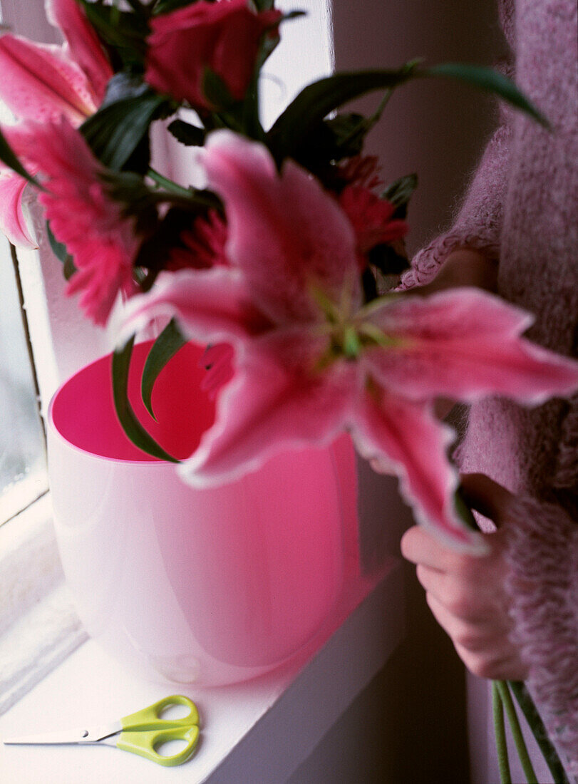 Woman putting pink lilies in a vase by a window