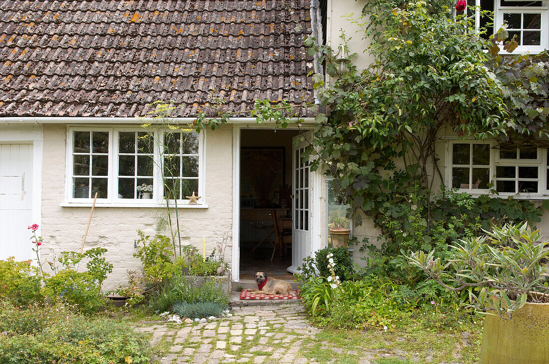 Hund sitzt in der offenen Tür eines Cottage in Suffolk, England, UK