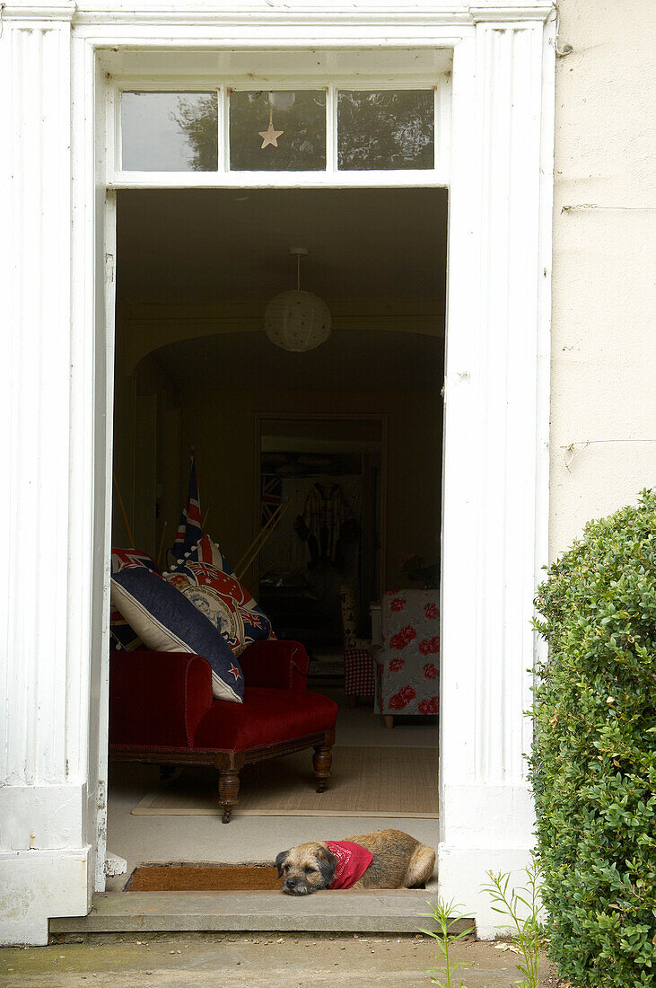 Dog sleeping in open doorway to Suffolk home, England, UK