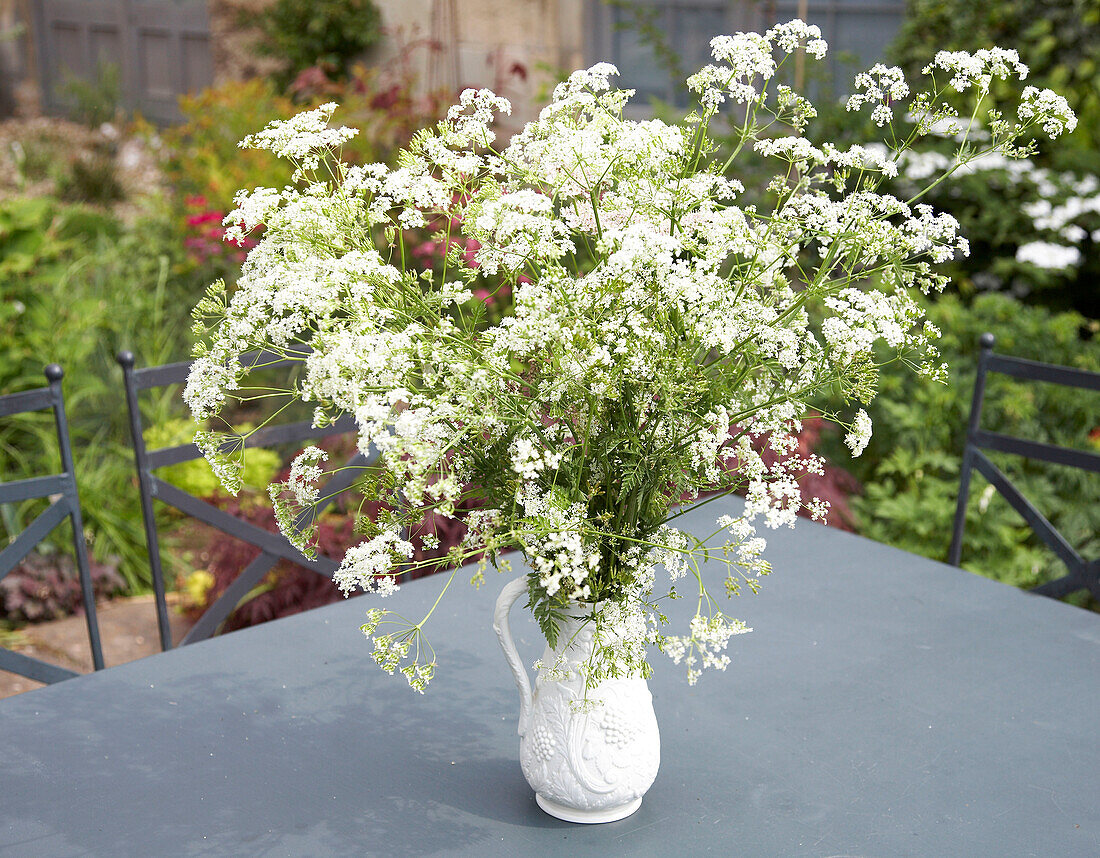 Bunch of white wildflowers in jug