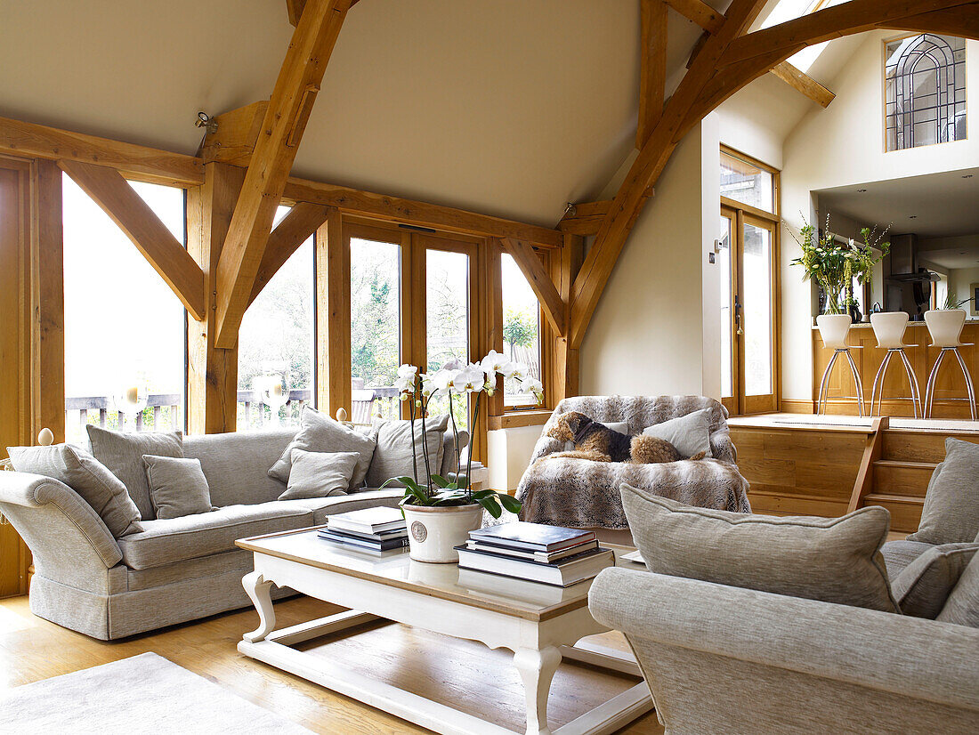 Orchid on coffee table in split-level open plan timber framed living room Somerset new build in rural England UK