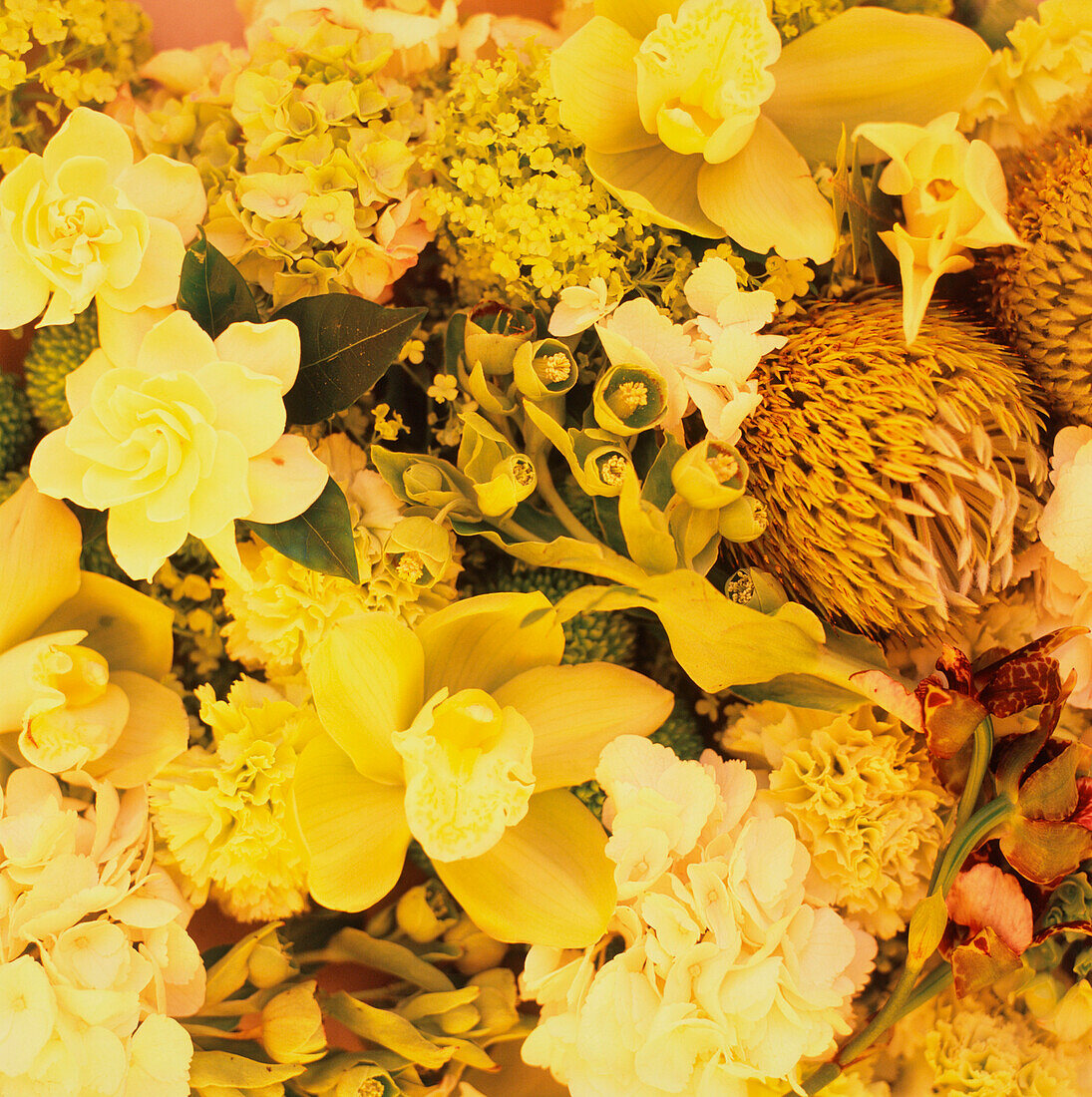 Yellow flower display